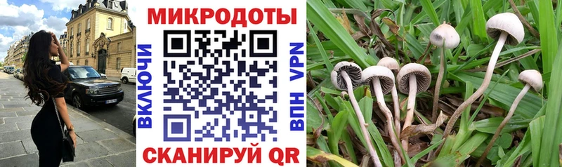 Псилоцибиновые грибы мицелий  как найти закладки  shop наркотические препараты  Можга 