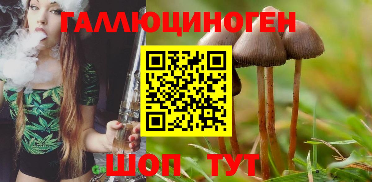 Галлюциногенные грибы ЛСД  Галлюциногенные грибы Magic Shrooms  Вход с VPN  Можга 
